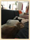 IMG-20190810-WA0004 - Kopie.jpg